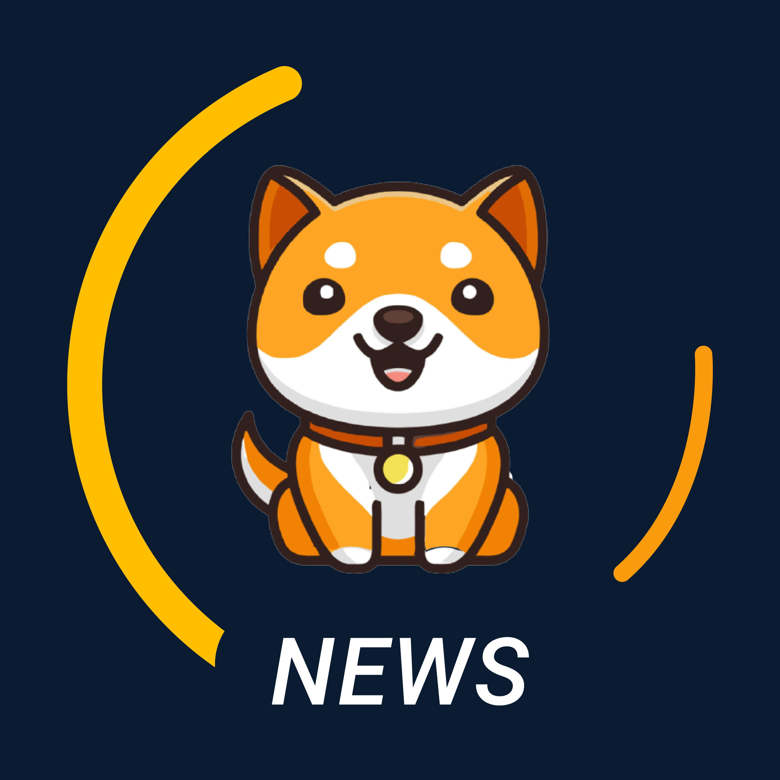 Baby Doge News | The news about the cutest crypto